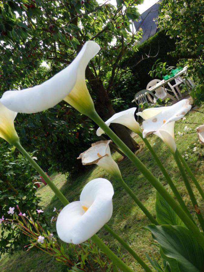 Sommery Les Trois Pommiers B&B 외부 사진